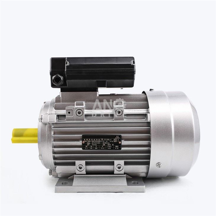 Electric Motor