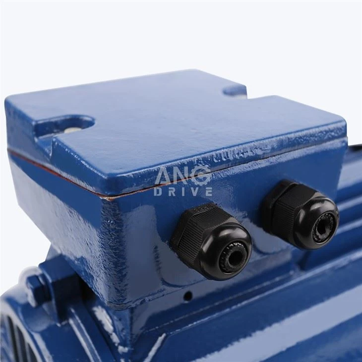 30HP Motor