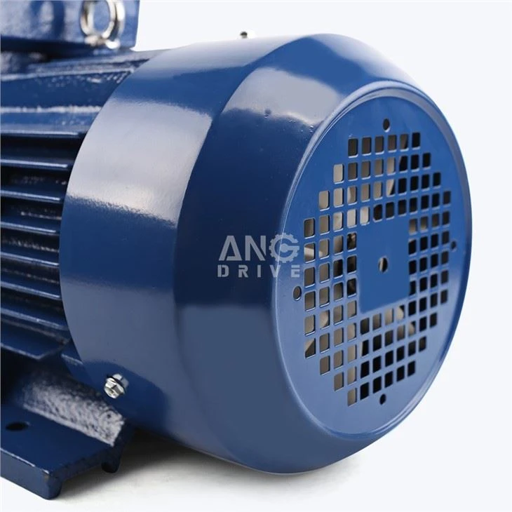 30HP Motor