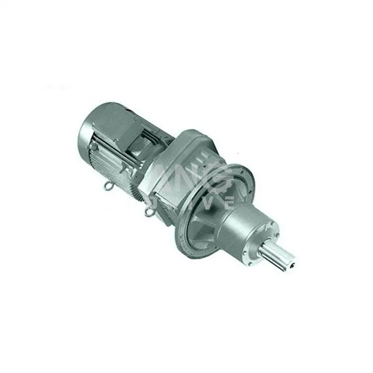Geared Motor with Extended Output Bearing Housing