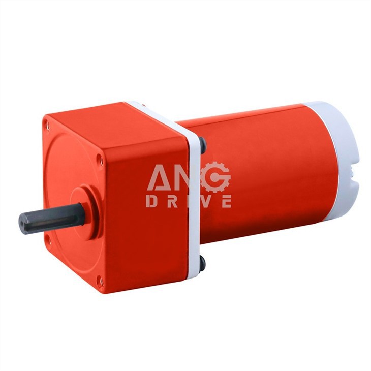 small DC electric motors