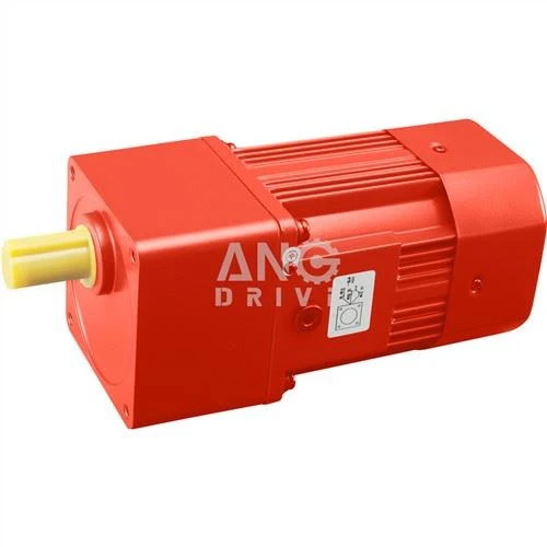 Biomass Bioler Motor