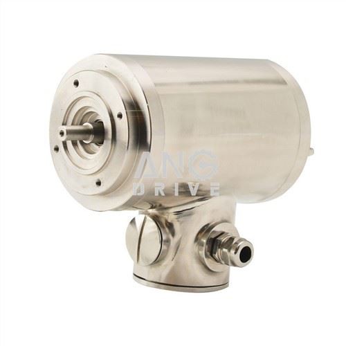 Loputatav elektrimootor