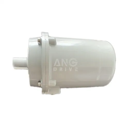 IP65 mootor