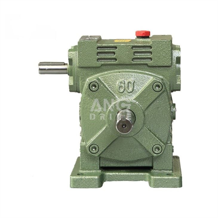 WPWS worm gear box