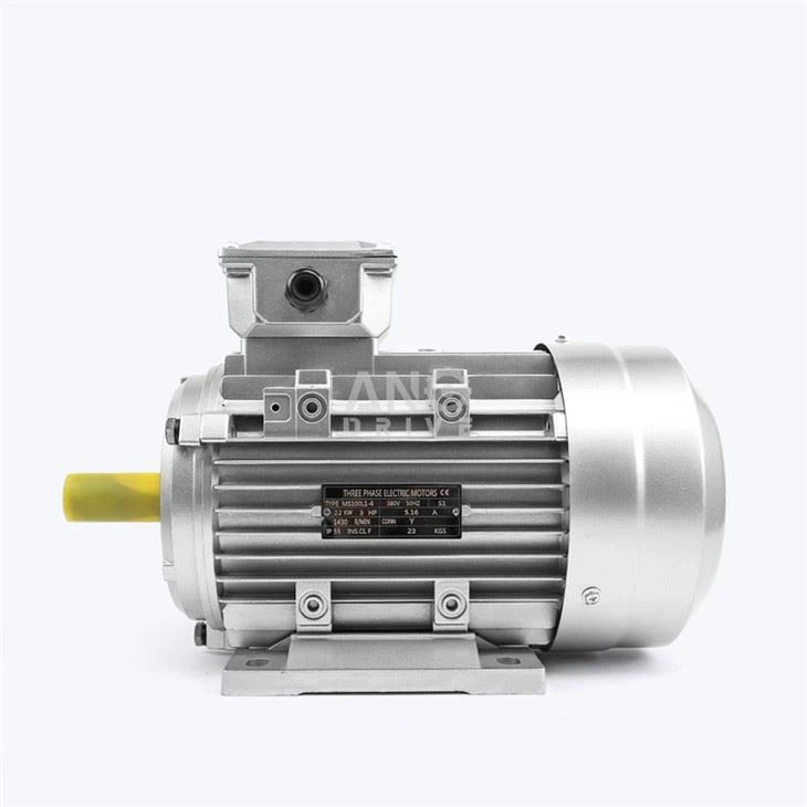 Three phase induction motor